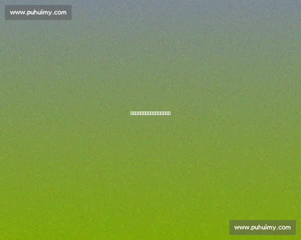 邯郸太极：从轮椅到国韵的多维突破